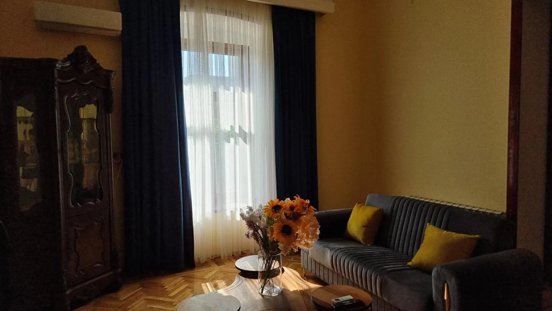 Lux Family Apartment Center Baku City Nizami 0*,